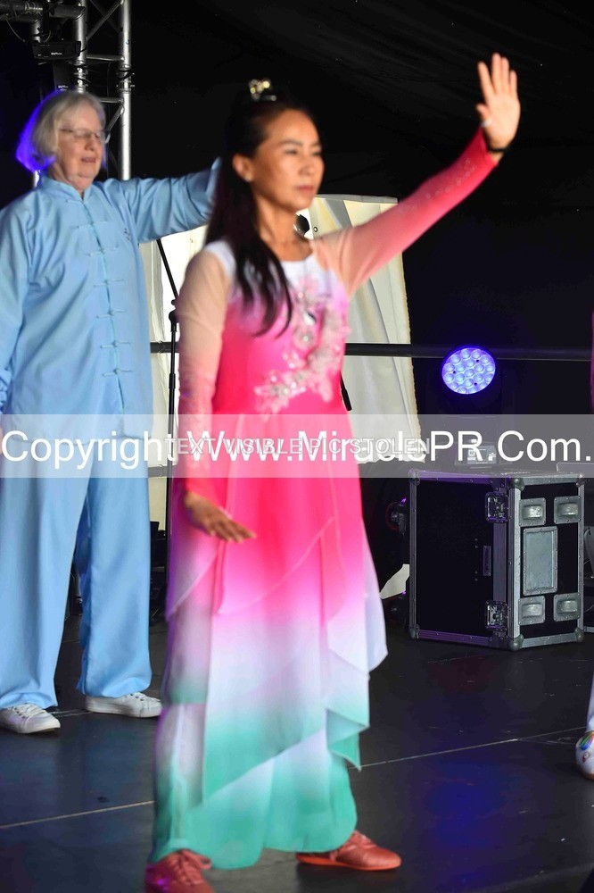 SH4_0051 - Tai Chi with Lisa Kay.
