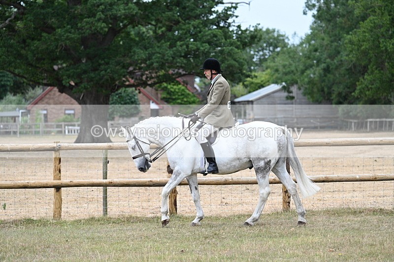 WJ7_0783 - Class 7 Riding Club Show Horse