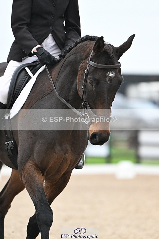 241103-140249-02393 - Prelim 2 - 13.23 to 14.33