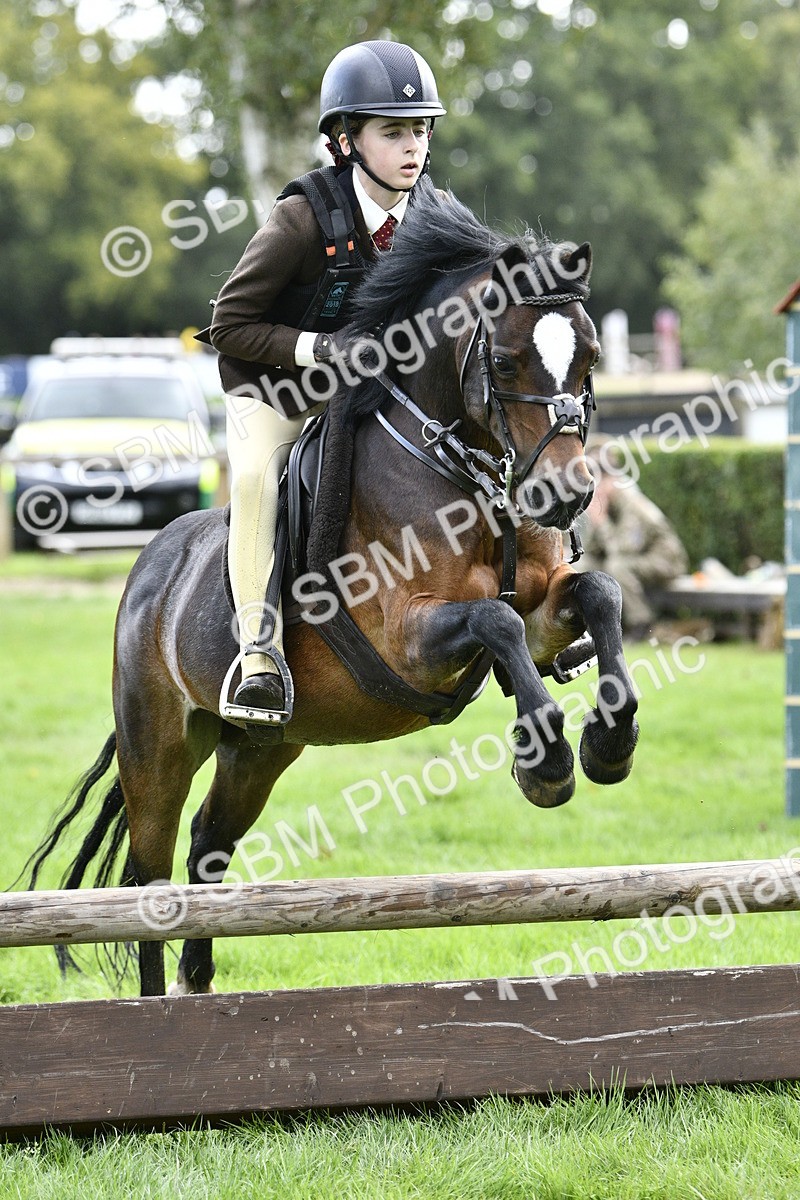 SBM_41271 - S32 - Mountain & Moorland Working Hunter Pony
