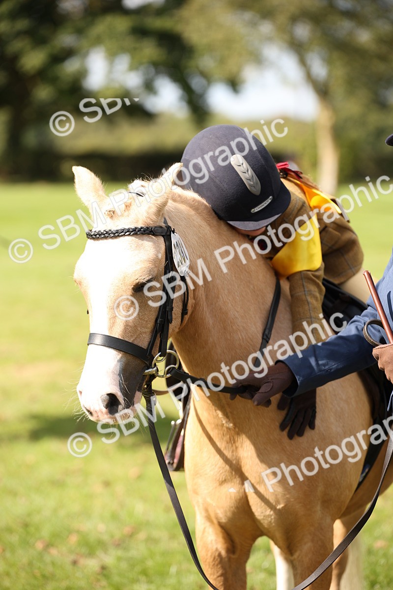 SBM_40921 - Fun Showing Supreme Championship