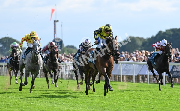 220825-209 Cape Flora - Race 5 4.10pm Assured Data Protection EBF Fillies' Handicap