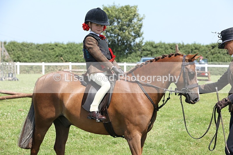 JPP_2374 - Class 20: Tiny Tots Working Hunter Pony
