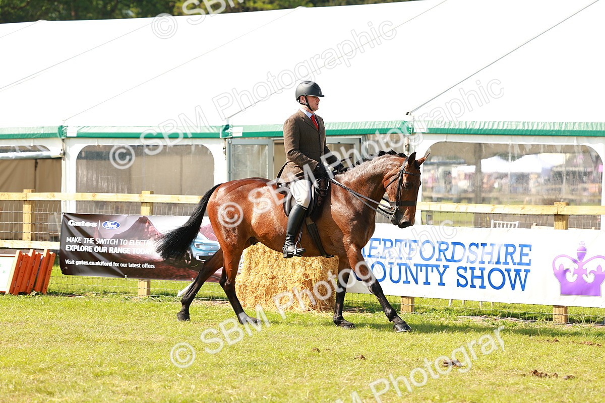 SBM_12027 - Class 66-69 - RIHS Ridden Hunters Inc Small Hunter