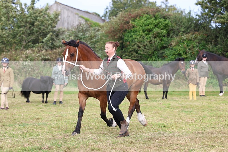 3E7A4722 - Class 16: Best Grass Kept