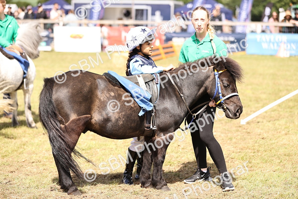 SBM_16659 - Dinky Derby