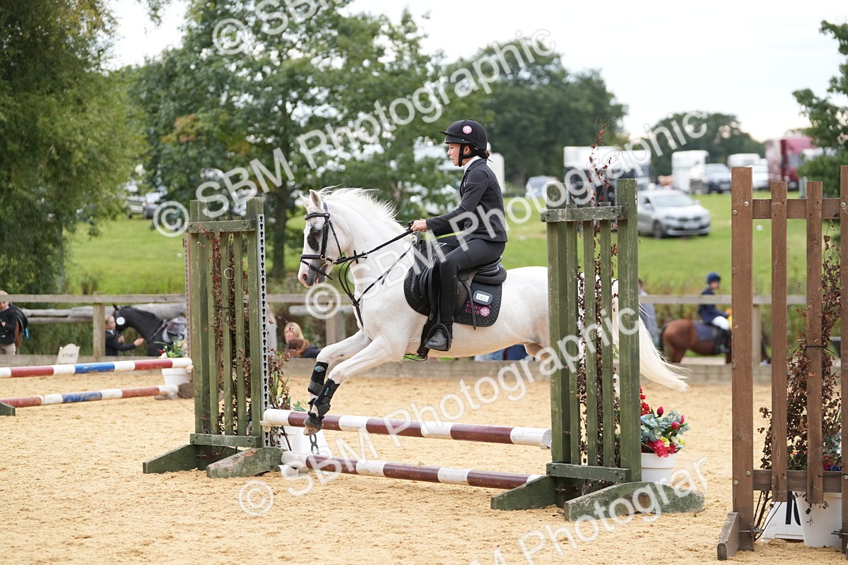 SBM_74801 - J4 - Mini Tour Junior Pony 45cm Championship