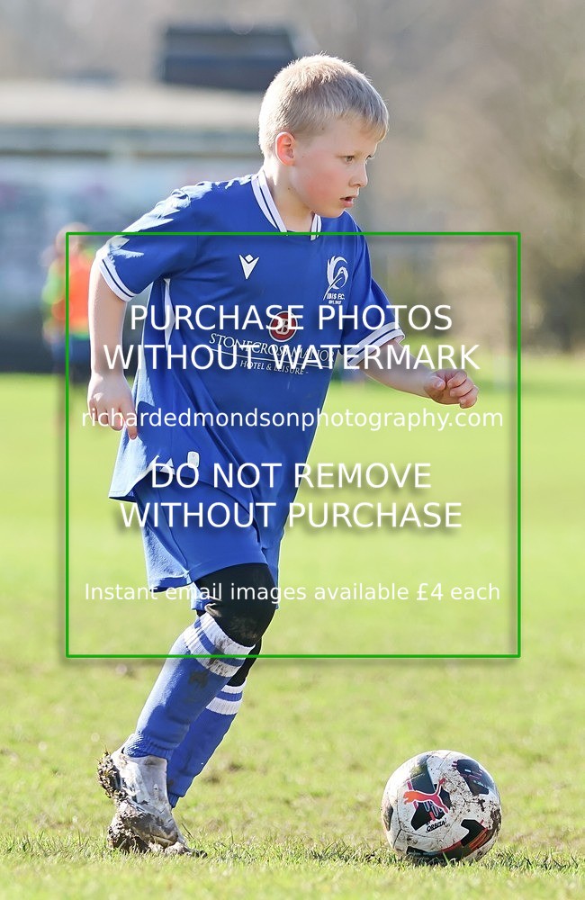 533A7896 - Ibis Under 8's (14/3/26)