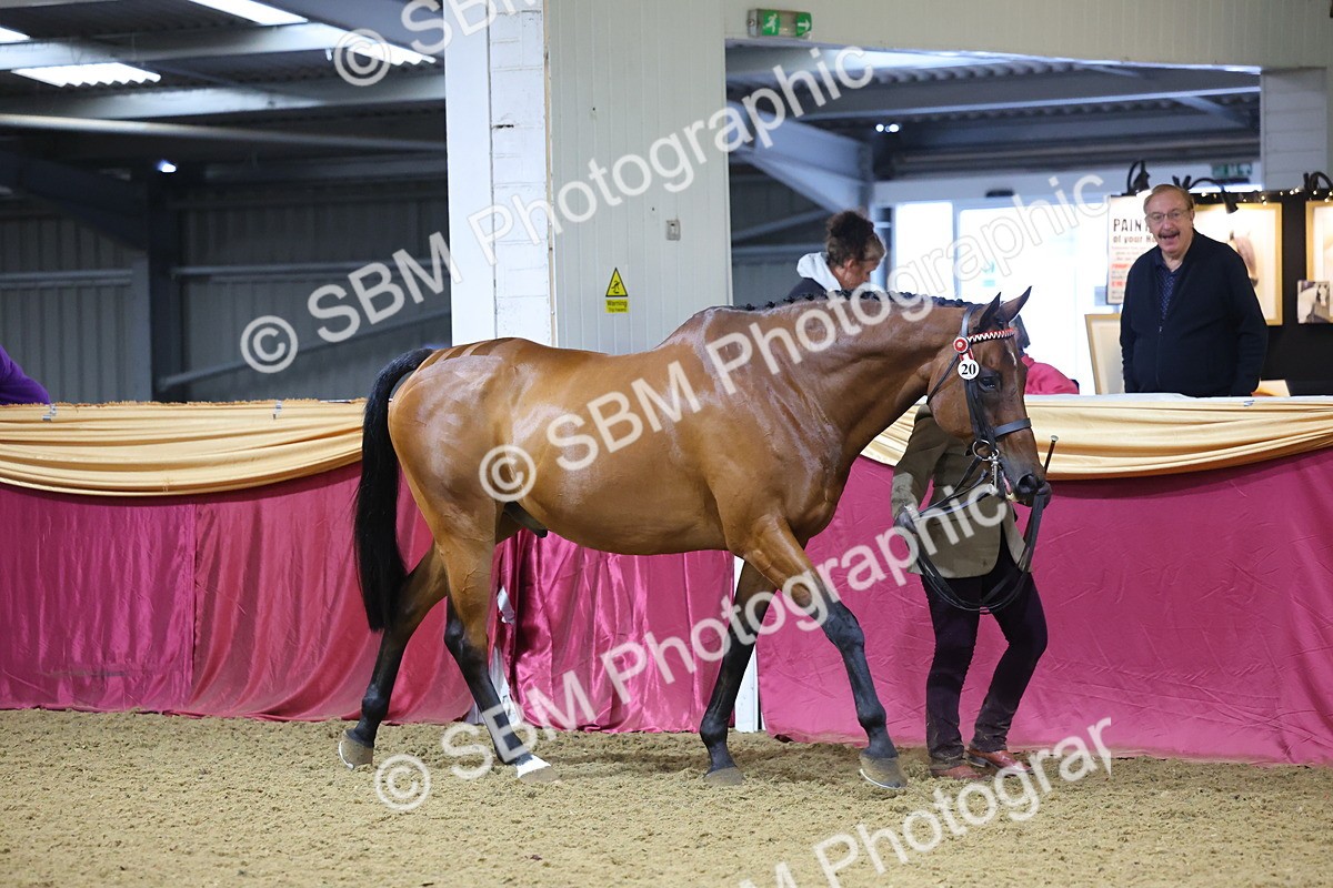 SBM_20747 - Class 902 - Supreme Final IH Veteran