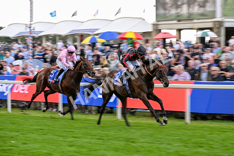 190826-Race 3-Maltese Cross-1071 - Race 3 15.00pm Sky Bet Great Voltigeur Stakes