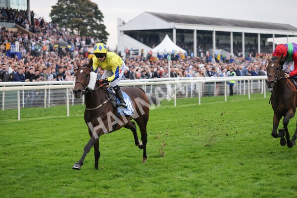 yr09102021r7-25 - Race 7 5.00pm Coral Proud Sponsors Of British Racing Finale Handicap