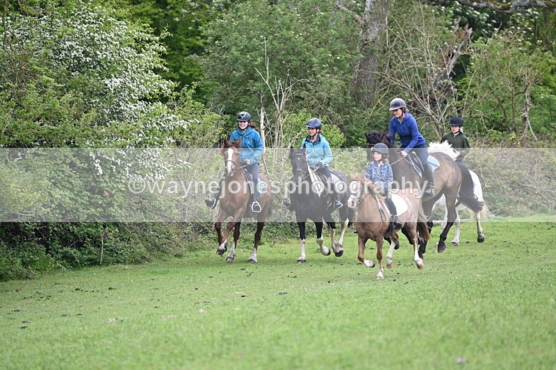 WJ6_2945 - A Camera