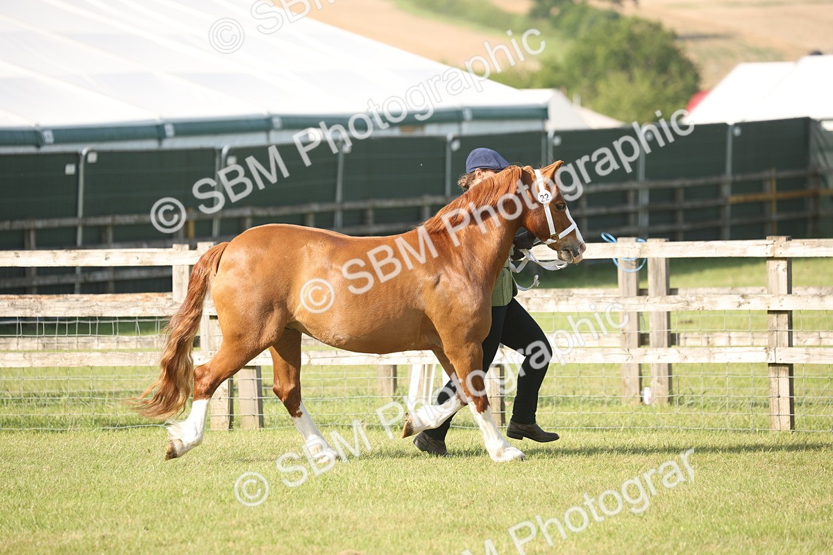 SBM_10485 - Class 33-38 - SSADL RIHS Qualifiers