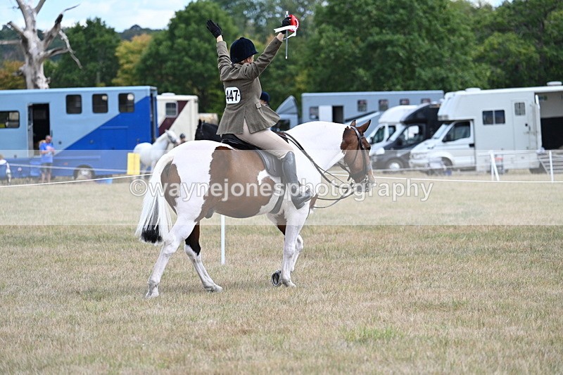 WJ7_5692 - Class 12 Ridden Cob