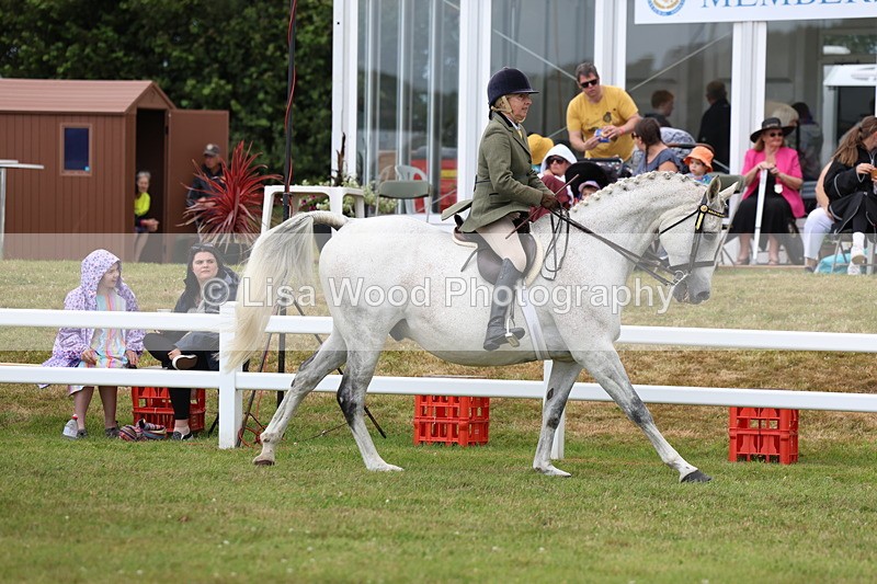 3E7A0908 - Class 8: Open Riding Horse/Hack