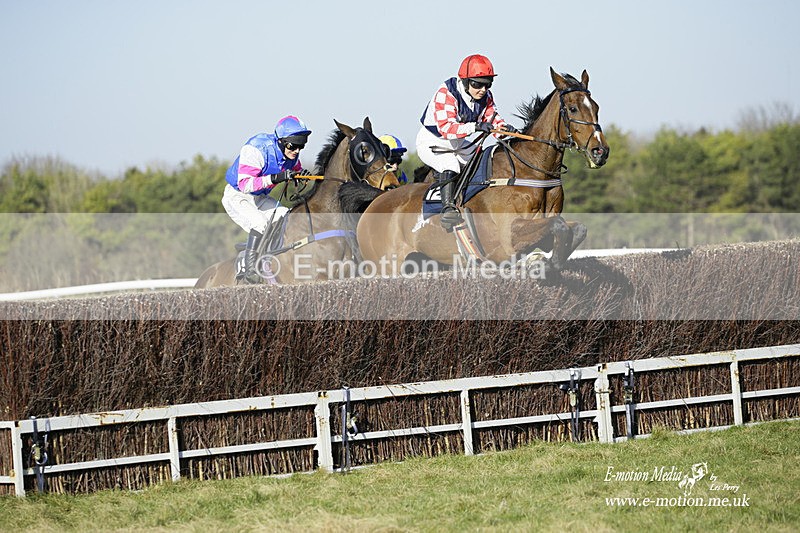 PtP 270222 224 - South & West Wilts Point-to-Point Larkhill 27/02/22