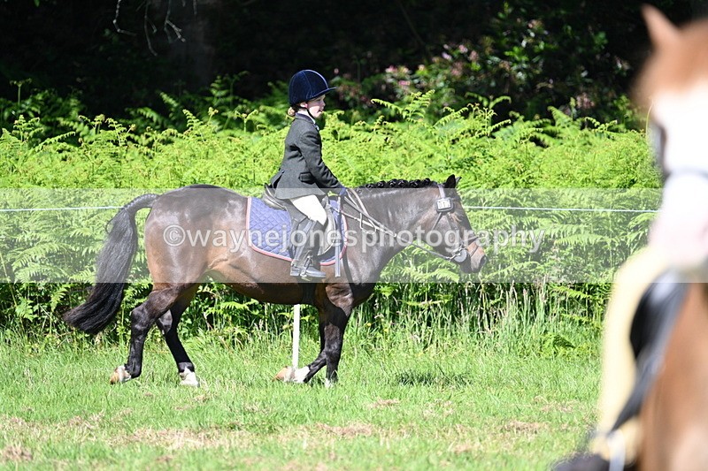 WJ7_0594 - Class 8 First Rally Pony