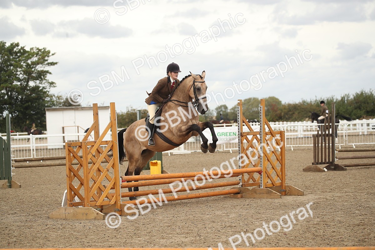 SBM_16663 - Class 507a - Working Veteran - 60cm (15-19)