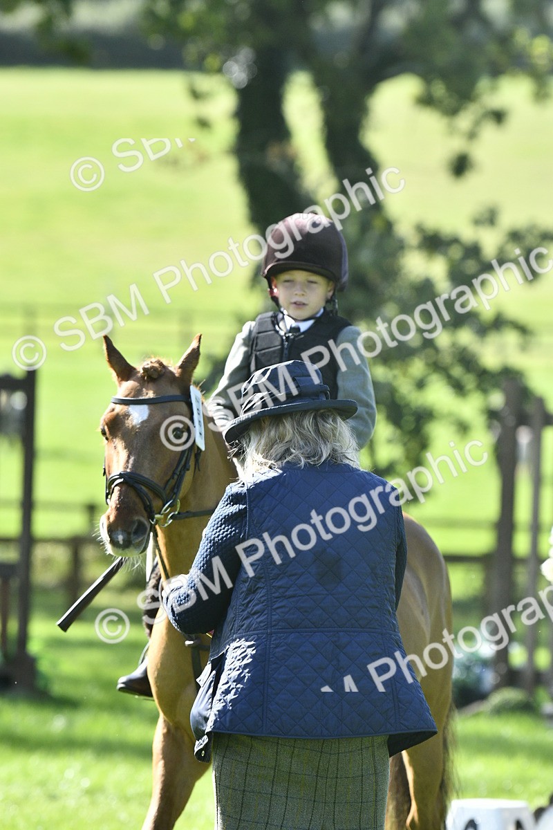 SBM_38171 - S31 - Novice & Newcomer Working Hunter Pony