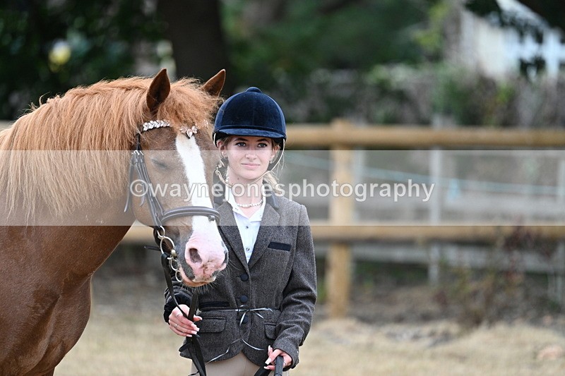 WJ7_8221 - Class 4 Prettiest Mare up to 14.2hh