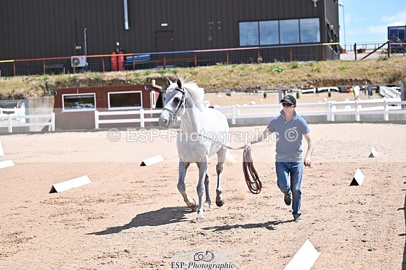 250716-123359-00055 - Trot Up 12.30 to 1.30