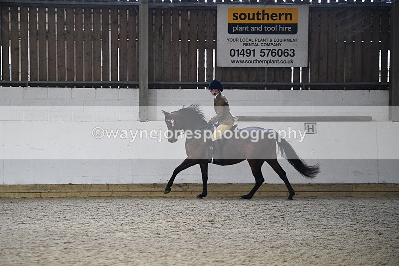 WJ5_8924 - Class 15 Ridden Show Horse