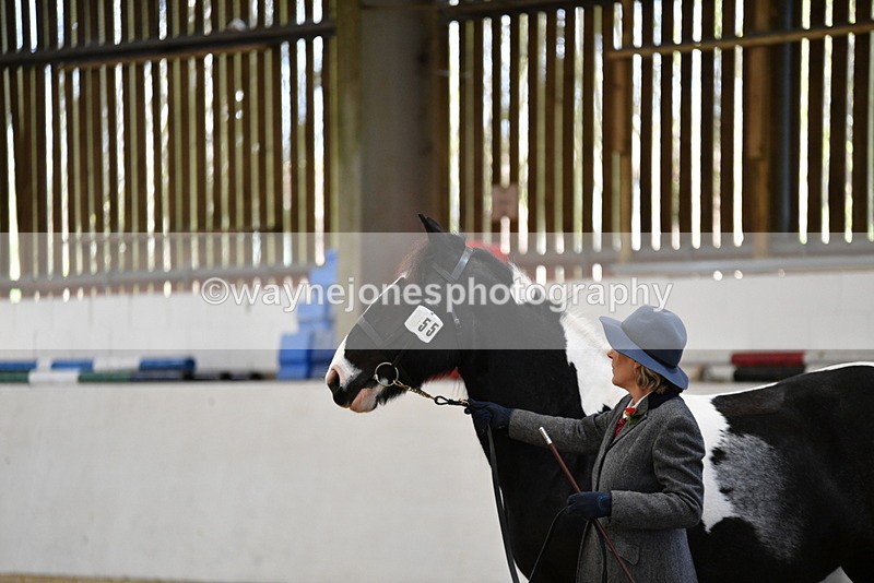 WJ5_4969 - Class 7 In hand coloured / odd coloured