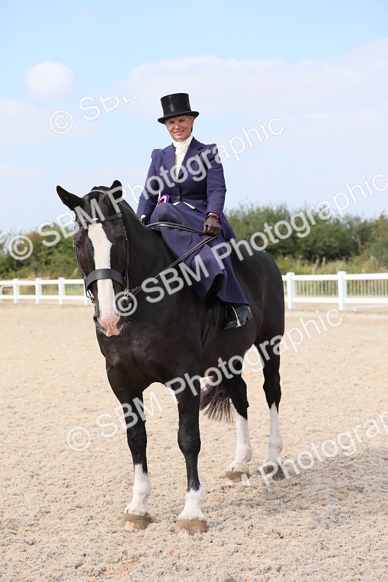 SBM_14629 - Class 211 Best Side Saddle Horse/Pony