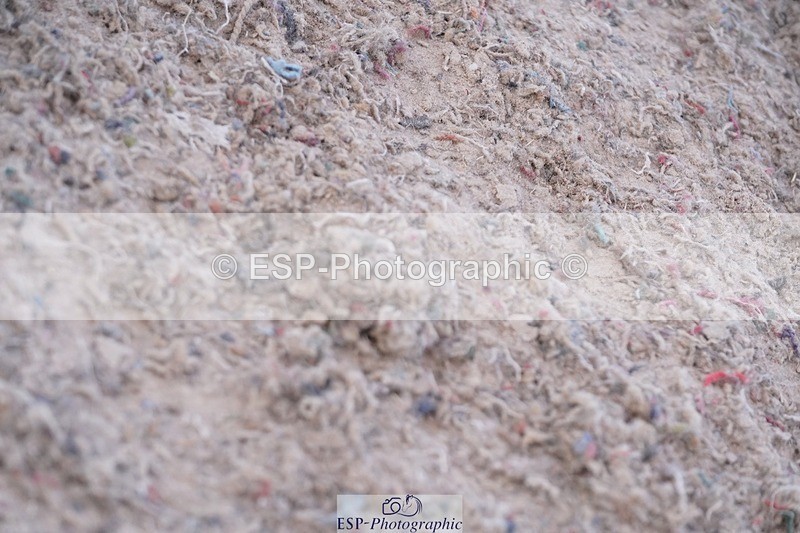 250627-195714-00570 - Cls 10+11 Children on Horses