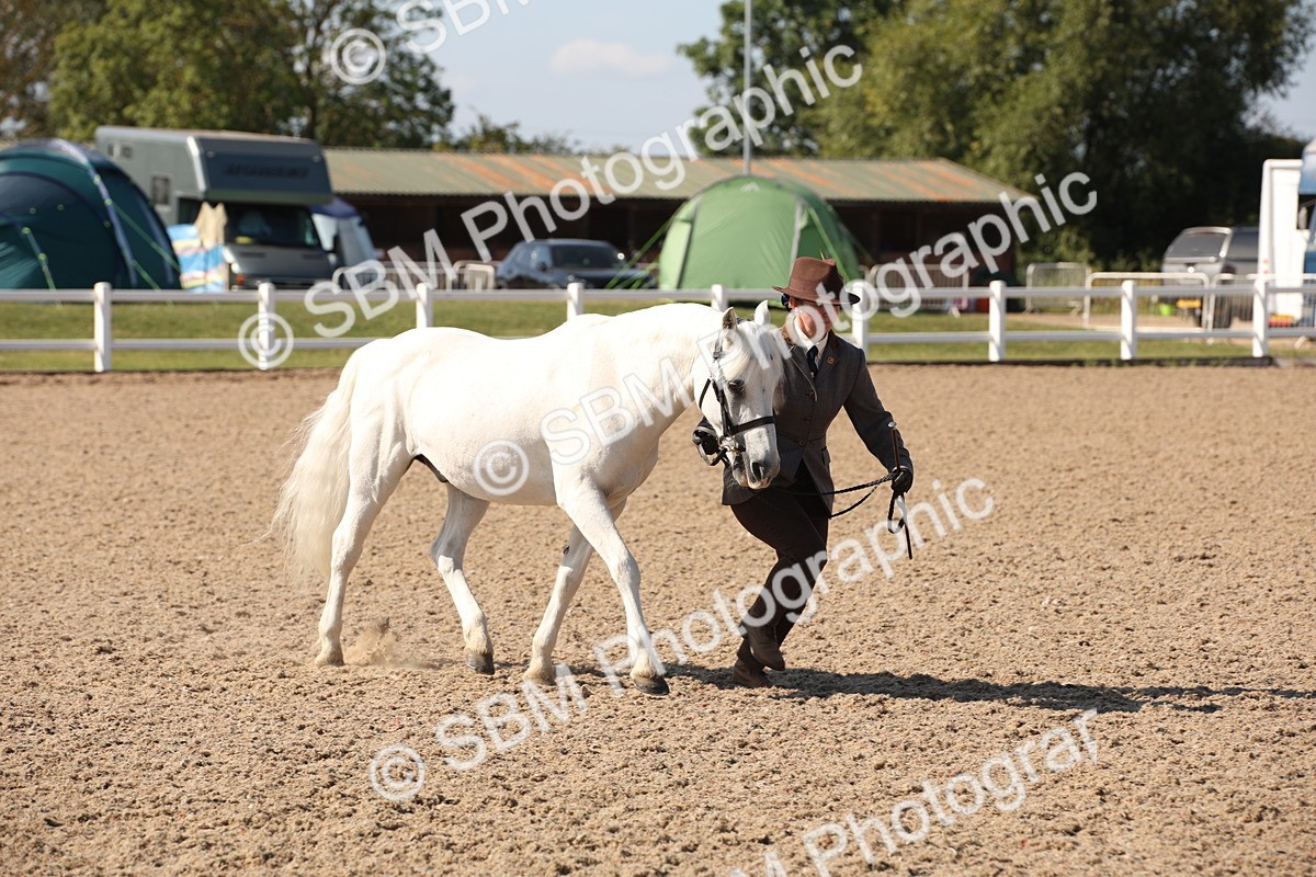 SBM_02792 - Class 16 IH M&M Wildcard