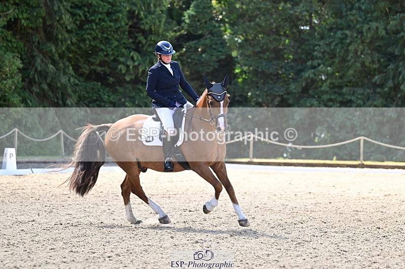 260731A-111628-00290 - Elementary Bronze 10.30 - Break