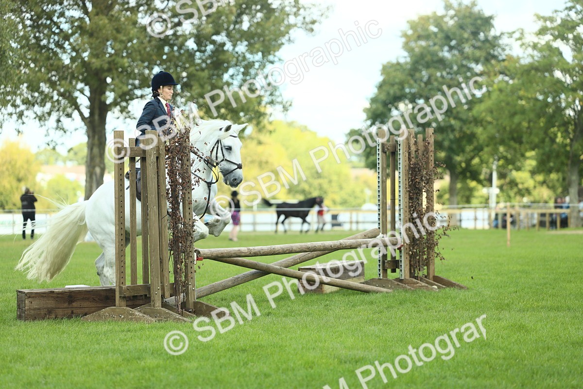 SBM_42918 - S30 - M&M Working hunter Pony