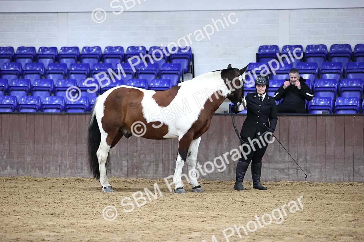 SBM_5295 - Class 32 - In Hand Cob Type