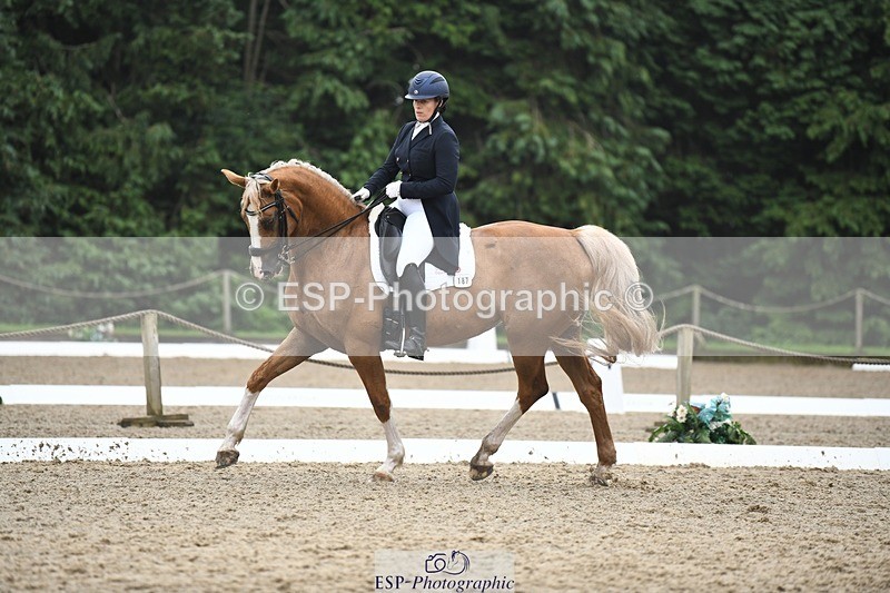 240720-160704-06399 - 187-Clare_Smith-Dori_Dragon_Fly