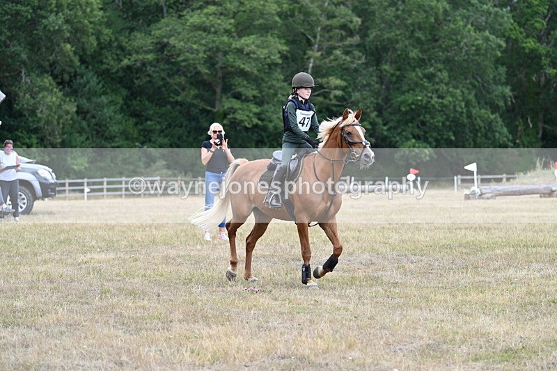 WJ7_1619 - 60cm Time 13:20 to 14:27