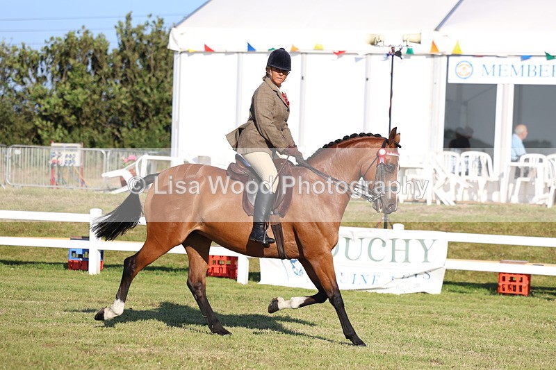 3E7A4927 - Class 1: Rising Star Small Hack/Riding Horses