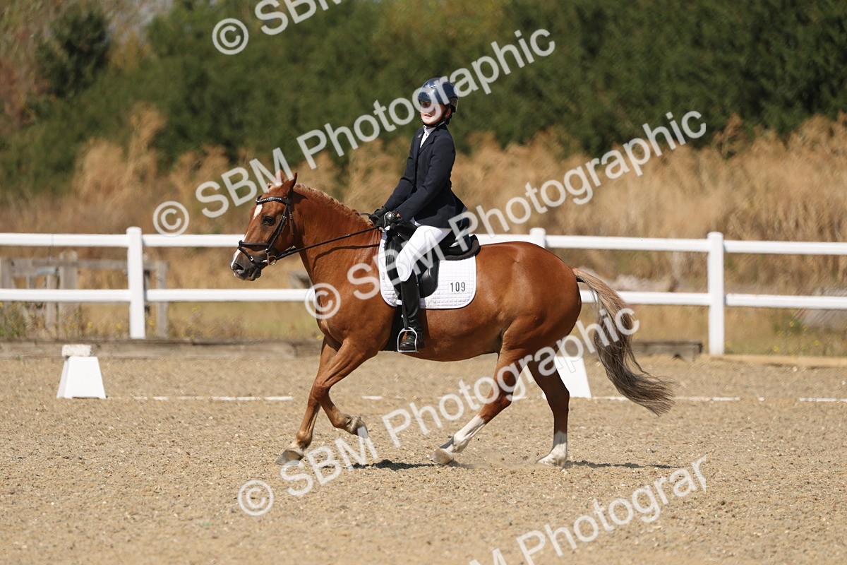 SBM_013747 - Class 1 - P5 Bronze 10.38.12.02