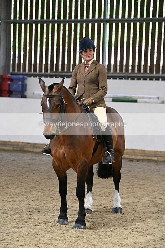 WJ7_3923 - Class 17 Ridden Cob