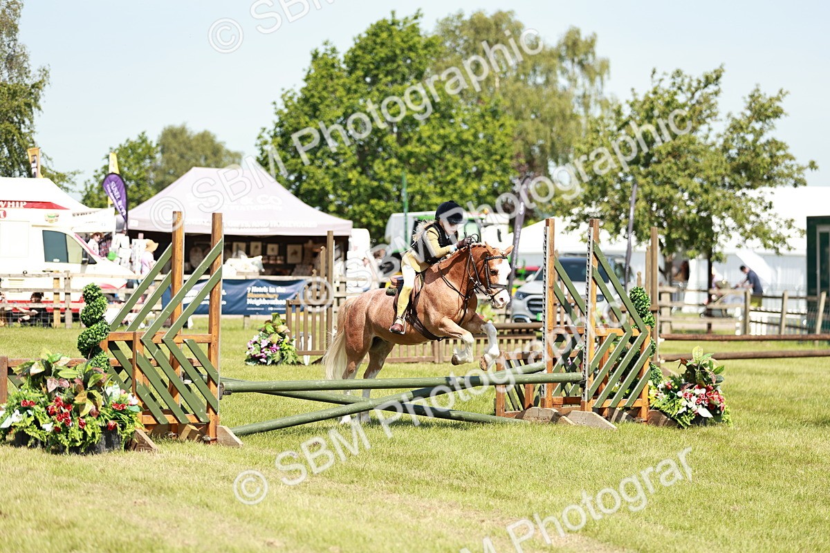 SBM_13582 - Class 108-109 - BSPS LIHS Open Gradle & Nursery Stakes