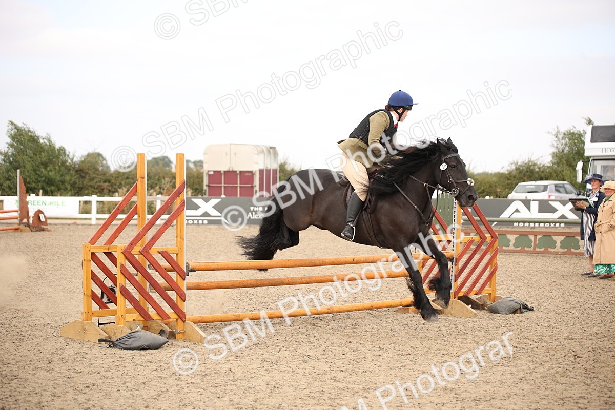 SBM_16192 - Class 409a - Working Veteran 80cm (15-19)