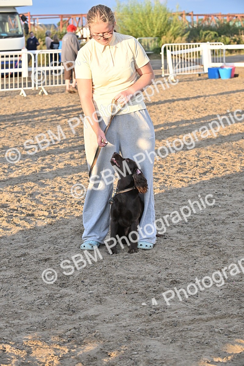 SBM_09695 - Lorry Dogs