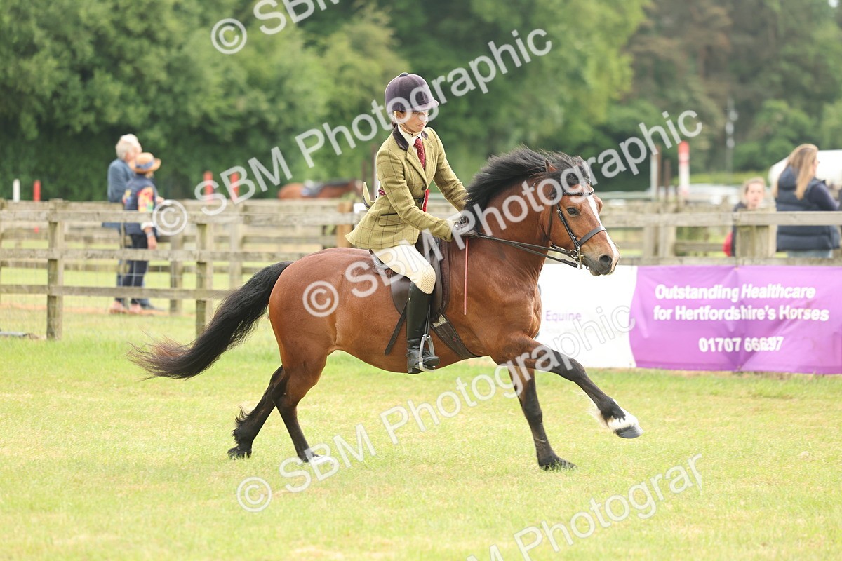 SBM_09135 - Class 78-80 - Ridden M&M Non Welsh Ponies