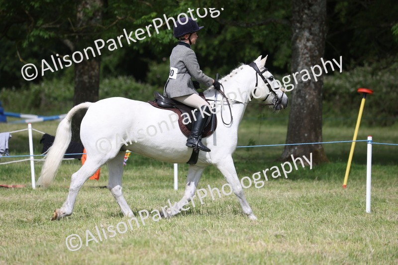 20260614-0552 - Class 20 - Beginners Working Hunter Pony