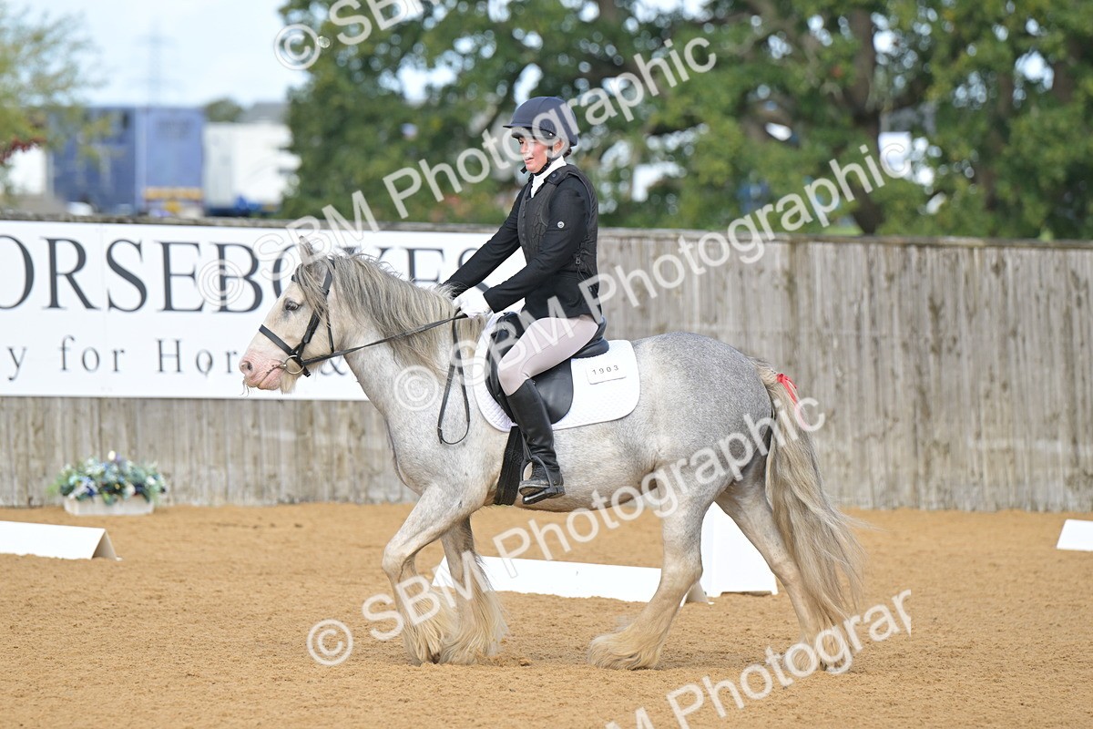 SBM_03751 - D2 - Small Tour Championship Intro 2