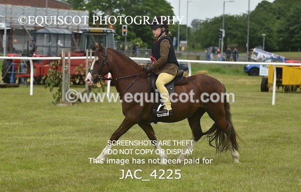 JAC_4225 - WORKING HUNTER CHAMPIONSHIP