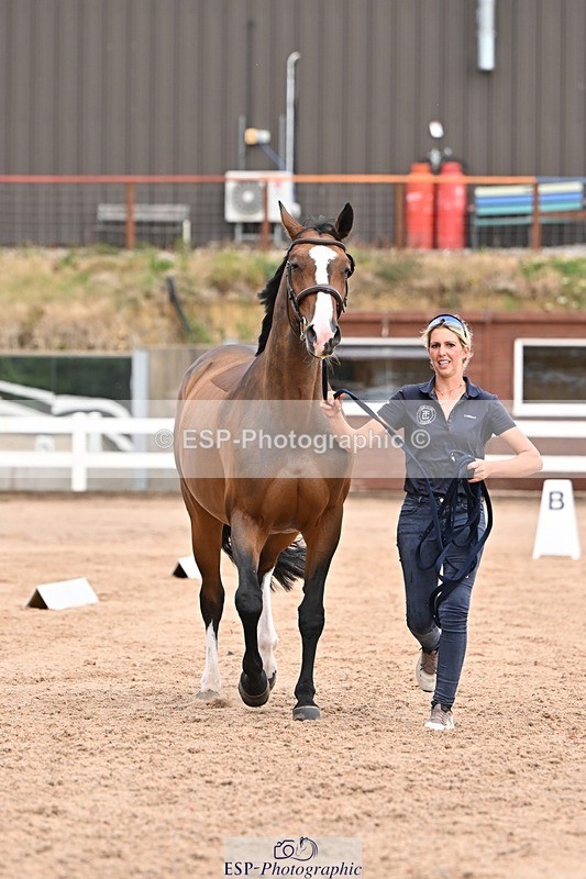 250716-151949-01874 - Trot Up 2.30 to 3.30