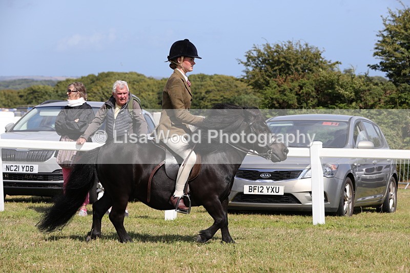 1X9A5595 - Class 39: NPS Dartmoor, Exmoor, Shetland