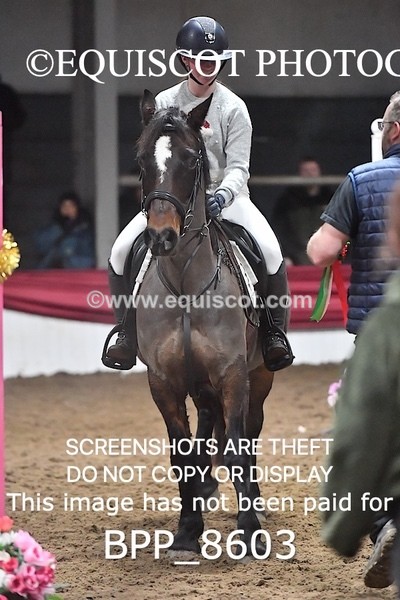 BPP_8603 - CLASS 7 80CM GRAND PRIX