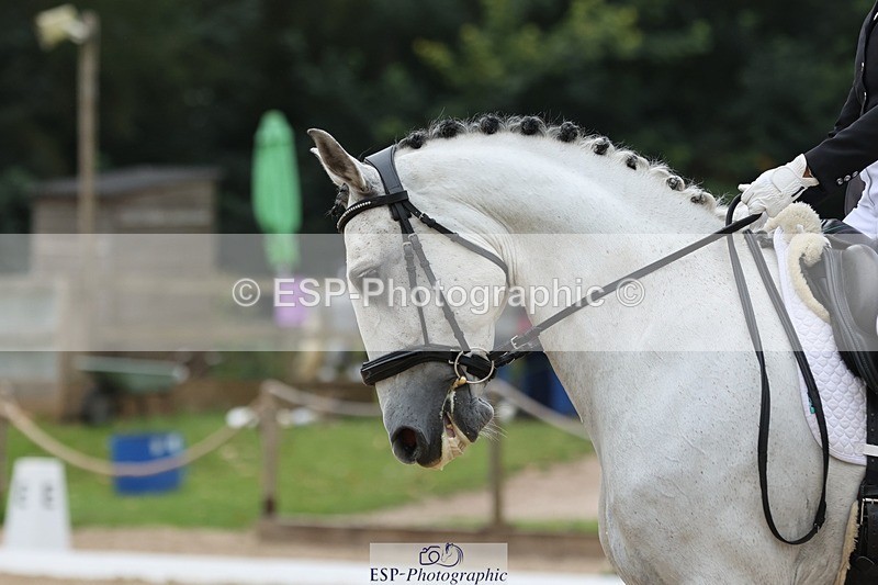 240810-113141-02901 - 140-Ali.Dane-Lidador