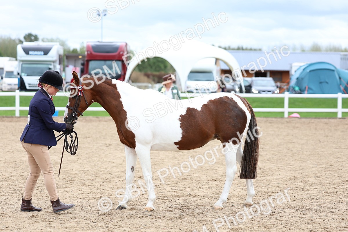 SBM_05962 - Class 29 - IH Veteran Pony